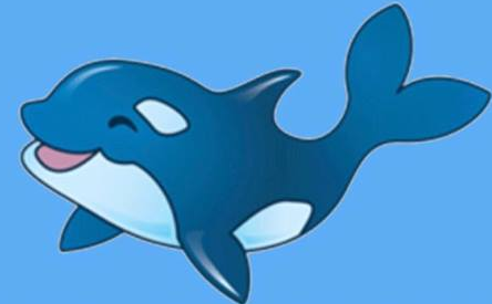 Steve’s swim school