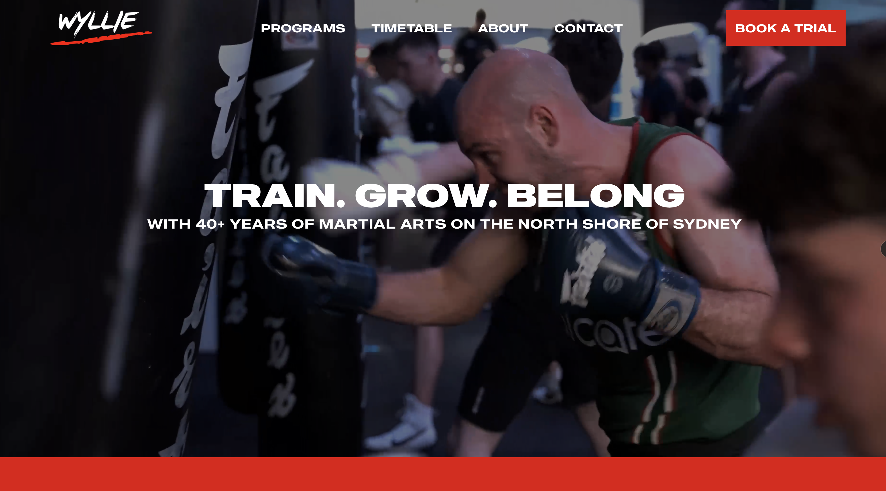 Wyllie Martial Arts