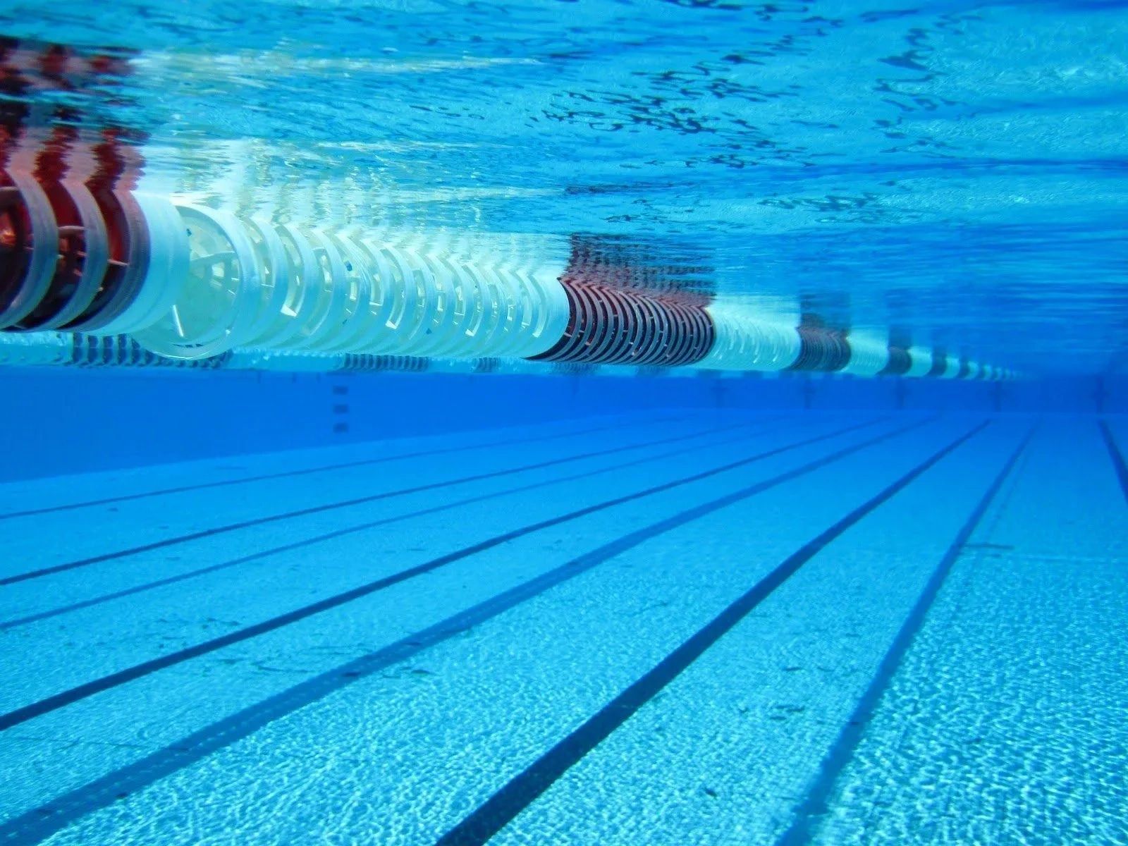 Intensive Swim