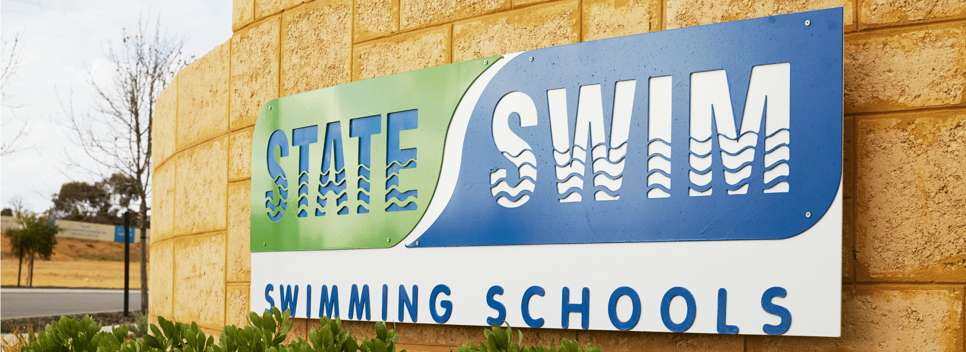 State Swim Seaford